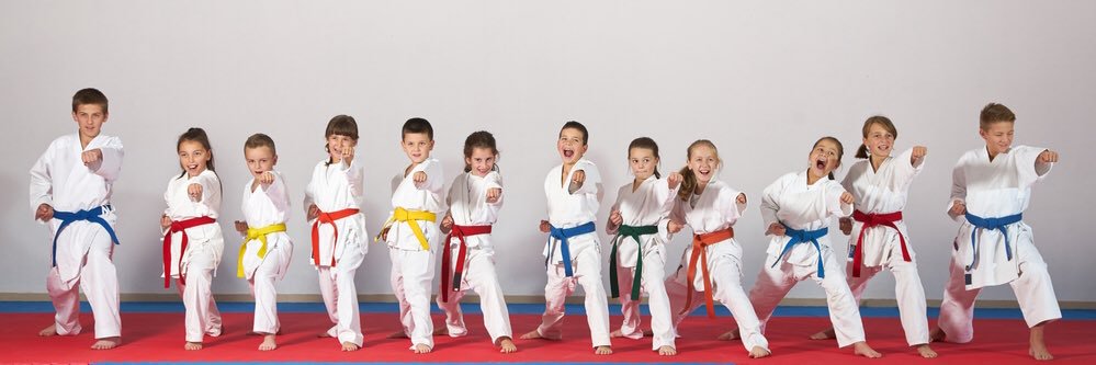 Progressive MA Ltd banner