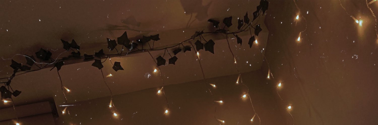 Alex banner