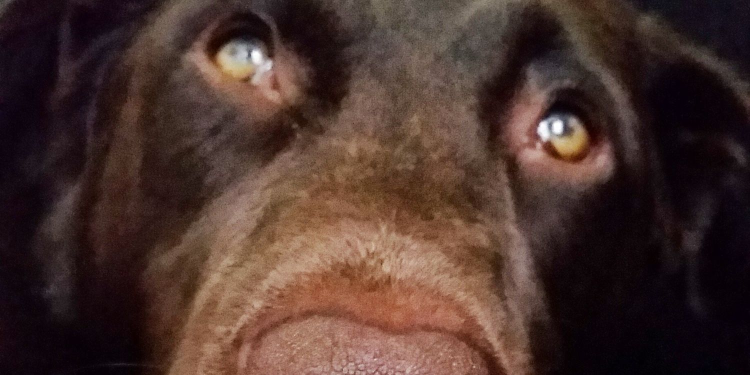 la_alfred's profile banner image