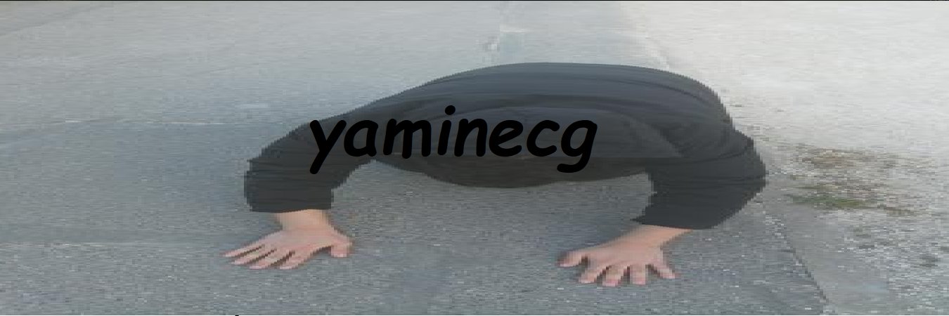 Yamine banner