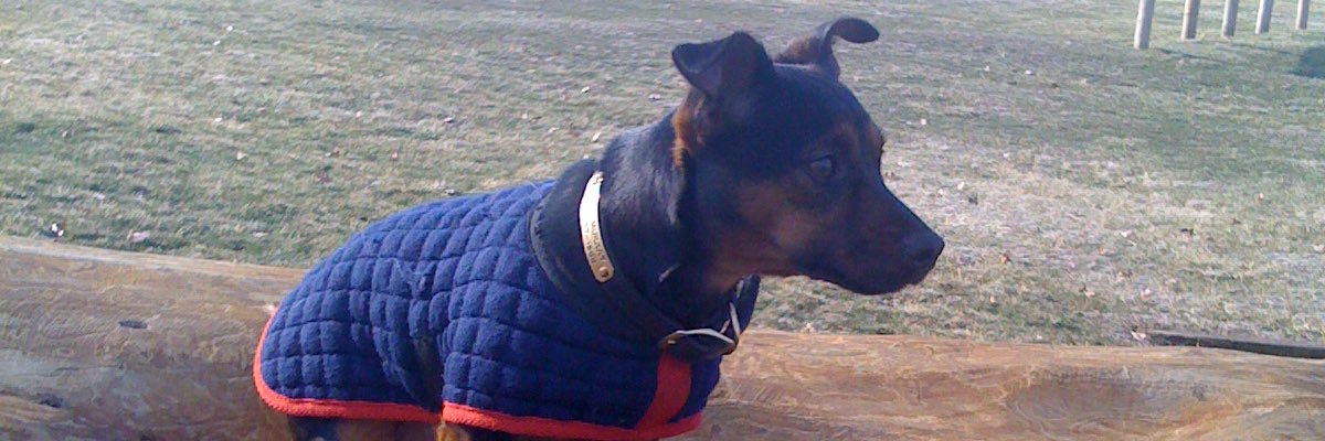 Awesome Murray banner