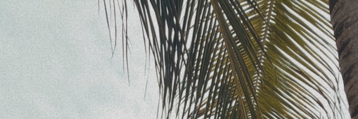 ____Dommm_'s profile banner image