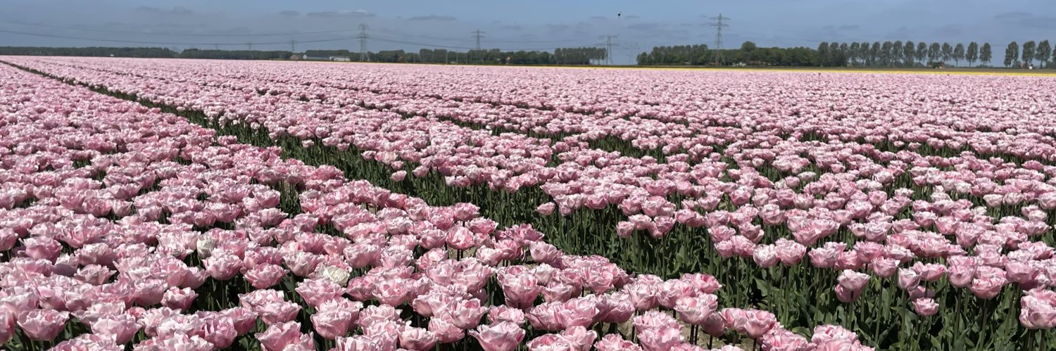 Logan 🇺🇸🇳🇱 banner