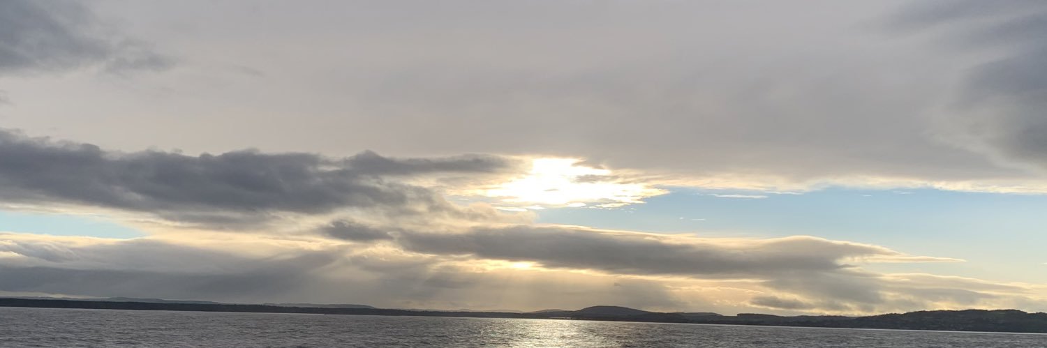 felix banner