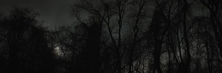 chadendae's profile banner image