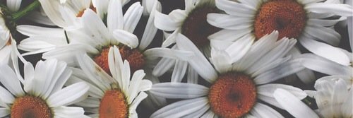 x_vanityy's profile banner image