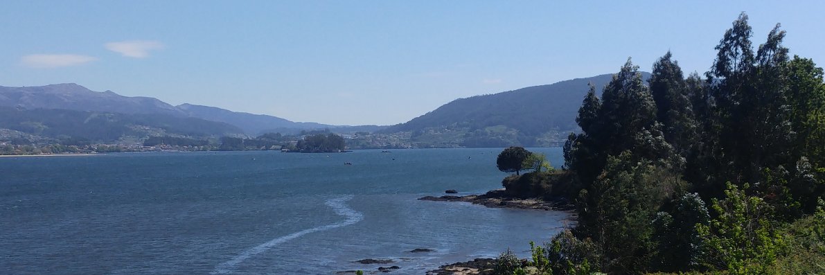 Juan Manuel Zele 🧡 banner