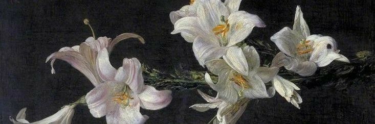 Vivianne Amara. banner