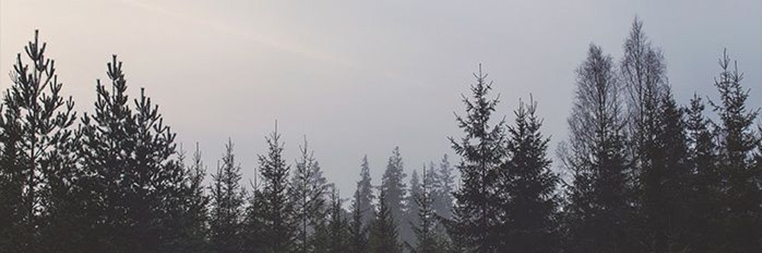 VanderBrais's profile banner image
