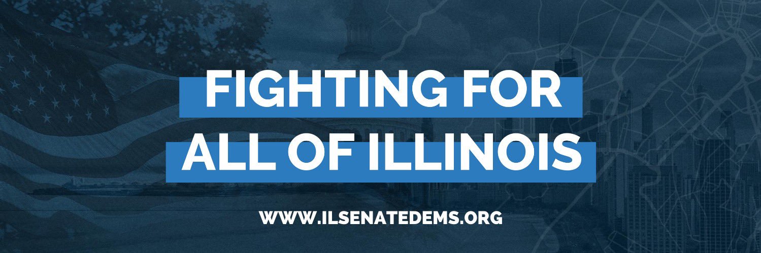 Elect IL Senate Dems banner