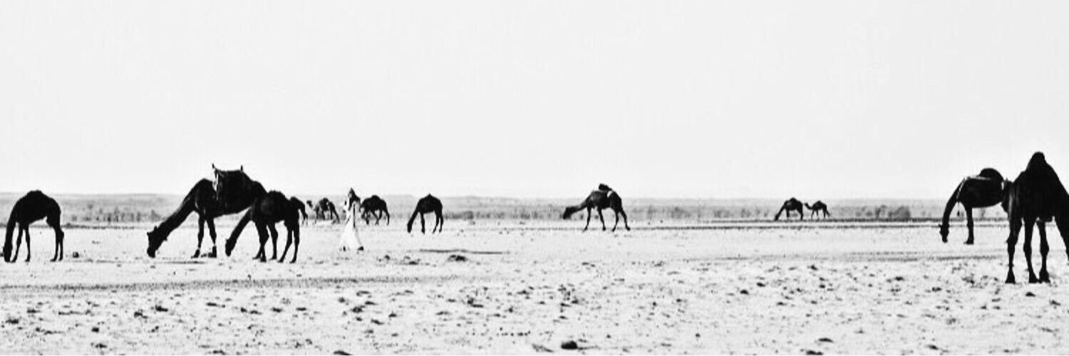 knz_55's profile banner image