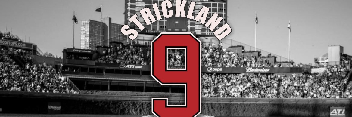 Colonel Baseball banner