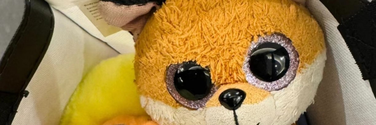 Daisy_199366's profile banner image
