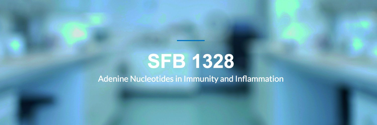 Björn-Philipp Diercks banner