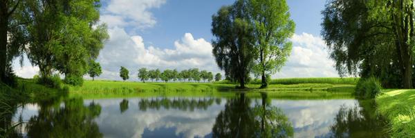 Calvaruga Profile Banner