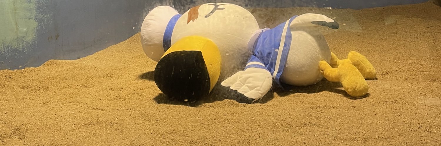 あーちゃん。 banner