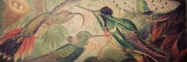 amilsa_m's profile banner image