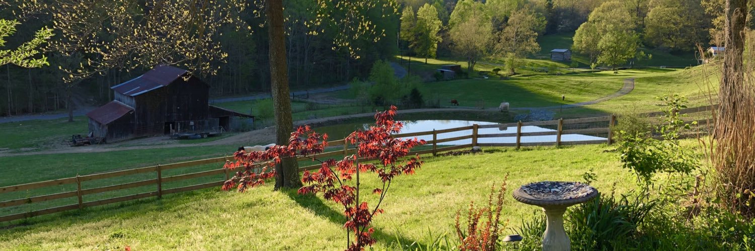 DillardDawn's profile banner image