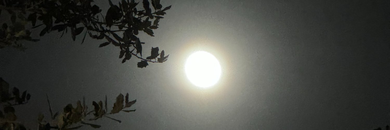AngieRobateau's profile banner image