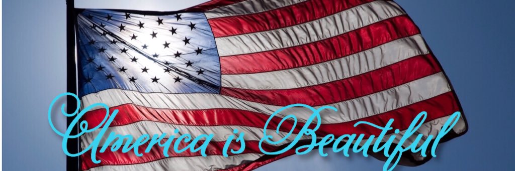 Bickle #AmericaFirst banner