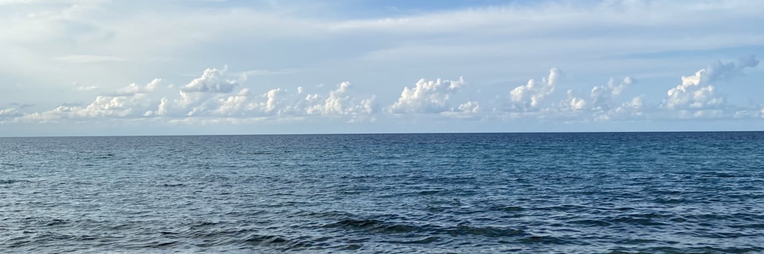alegolfieri's profile banner image