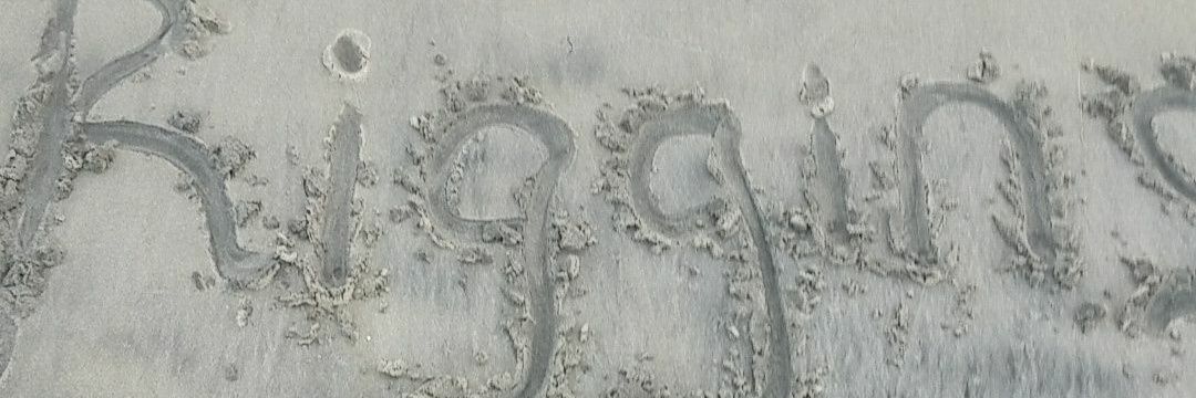 RigginsMel's profile banner image