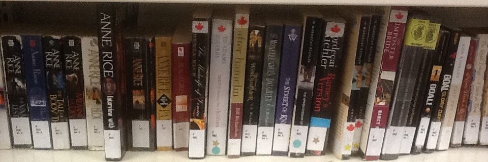 north library banner