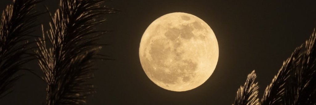 :) banner