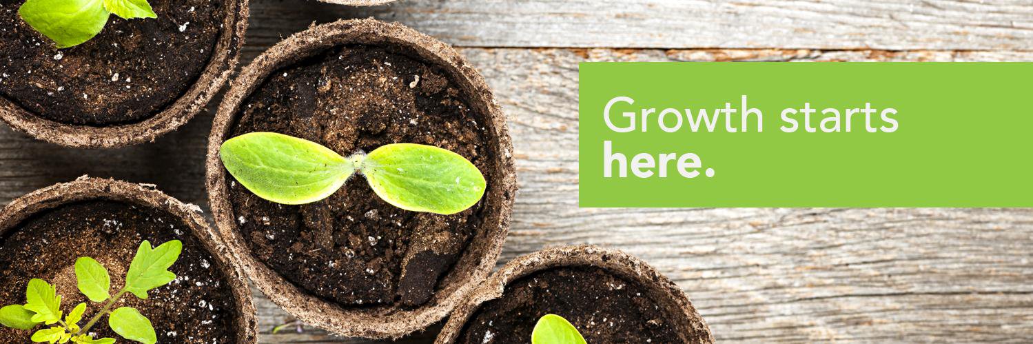 Live Earth Products banner