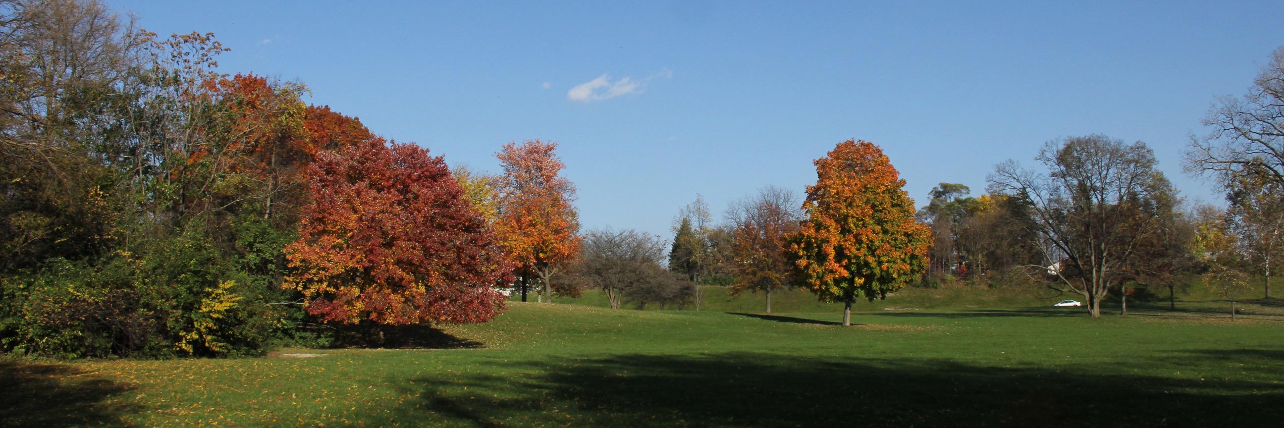 GaryLaPointe's profile banner image