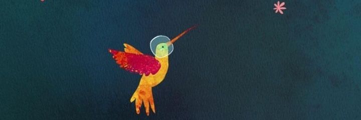 varcasj's profile banner image