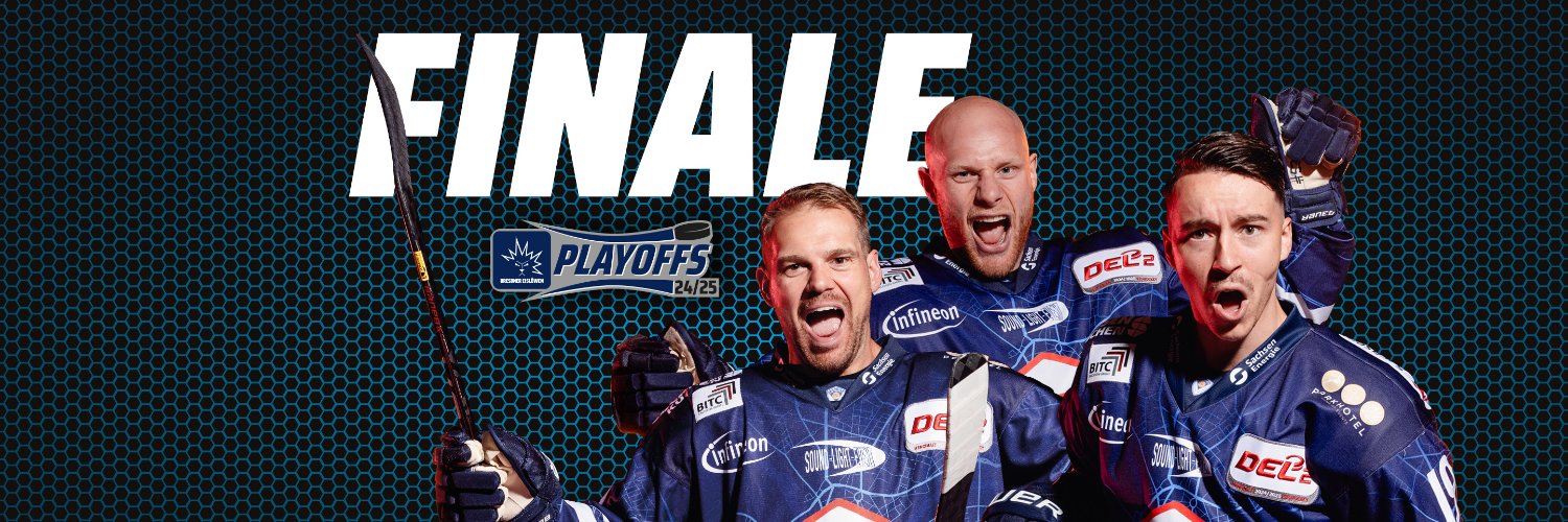 Dresdner Eislöwen banner