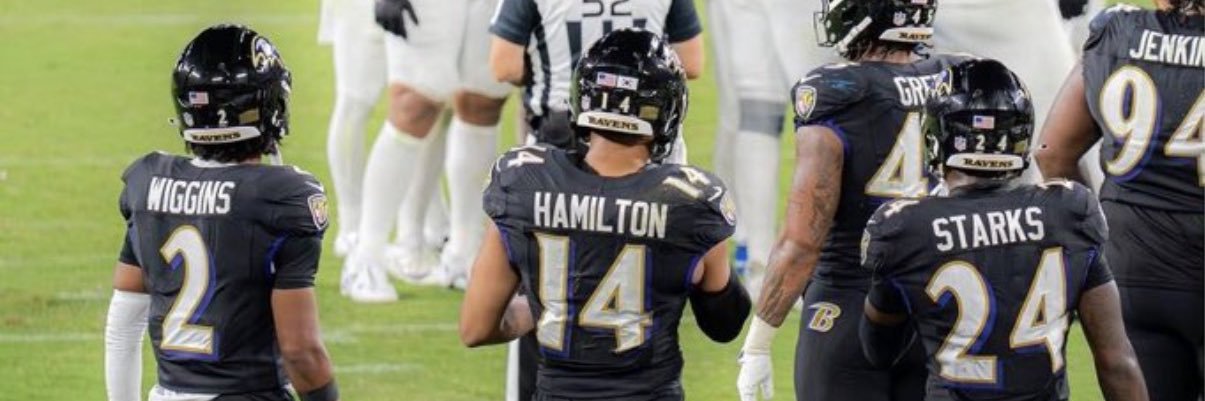 Raven_Jay🦦 banner