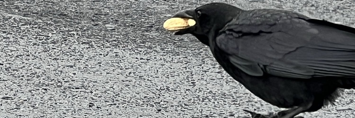 Alfred the Crow banner