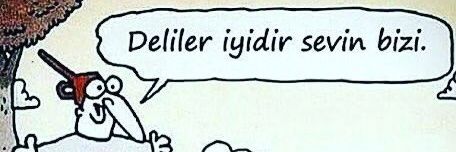Elvan banner