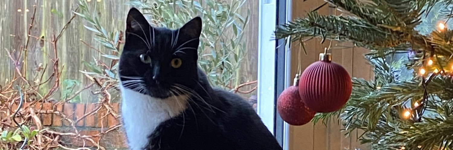 LyndaMBB's profile banner image