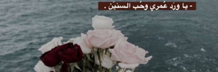 t_l22l's profile banner image
