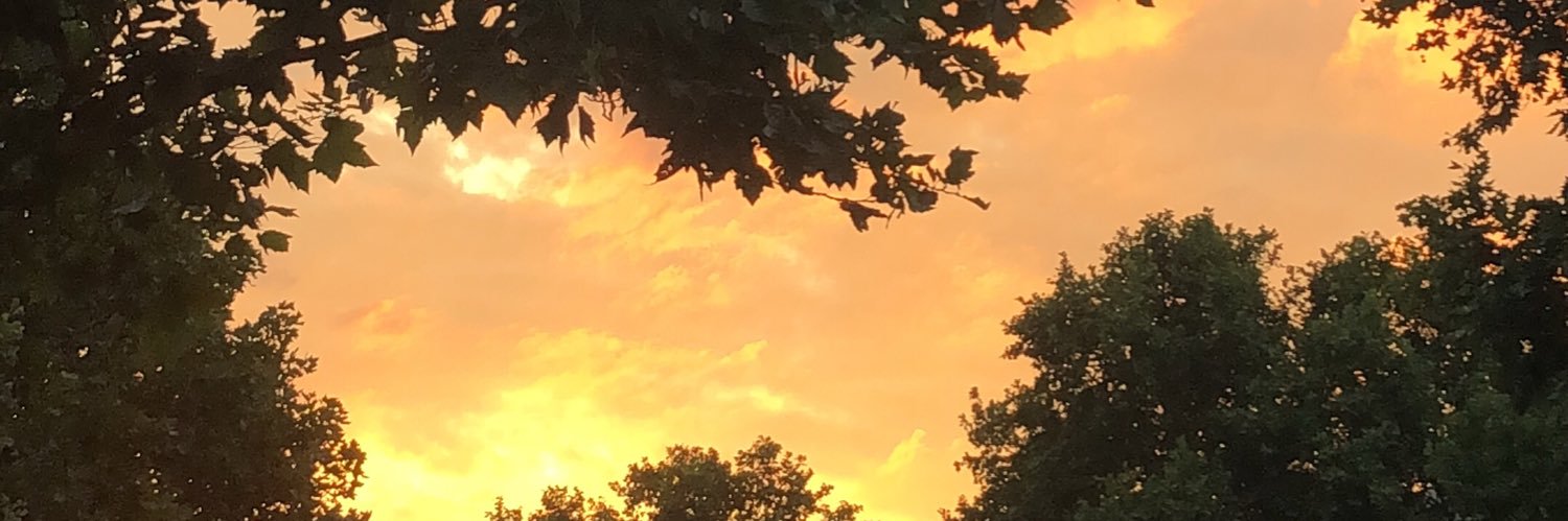 AgatheDtrl's profile banner image