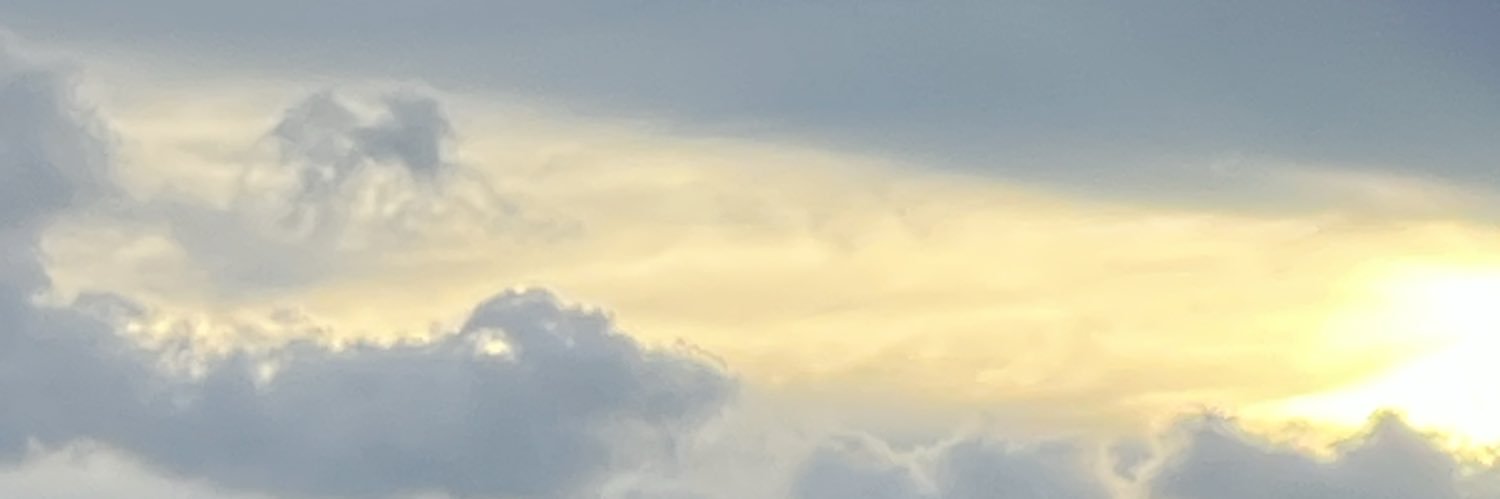 WanDAdear 🌻 banner