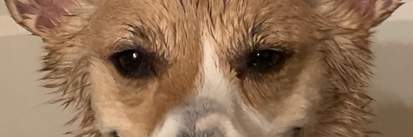 poopycoopy's profile banner image