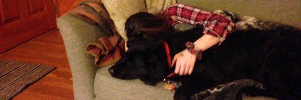 Nora Penn-Ephron banner