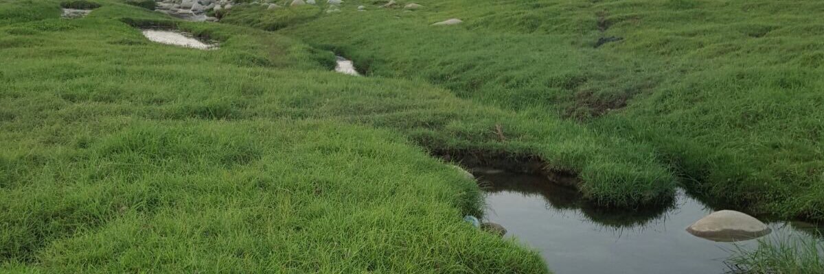 wageet's profile banner image