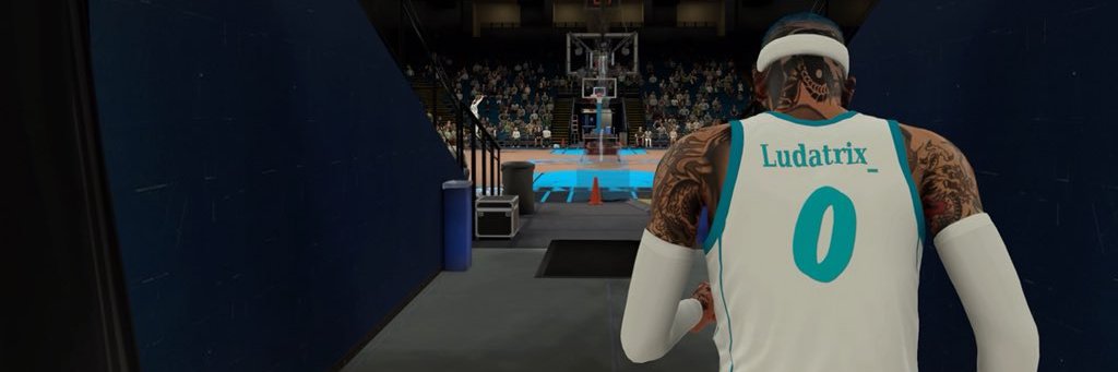 Ludatrix_ 😤 banner