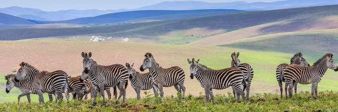 乇爪Ҝ卂ㄚ banner