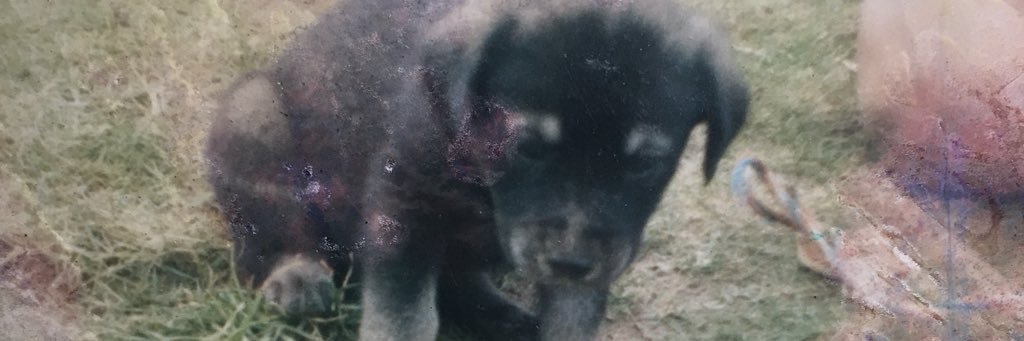 atspeedofsounnd's profile banner image