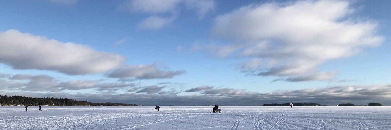 Katri Taskinen banner