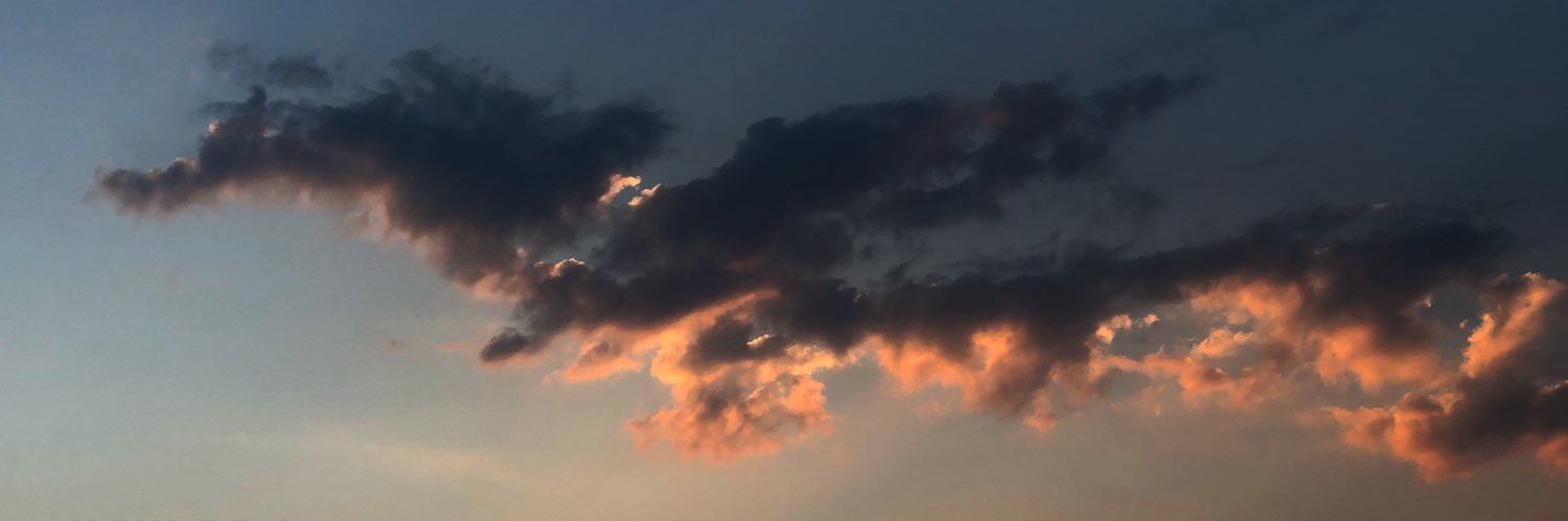 roscruza's profile banner image