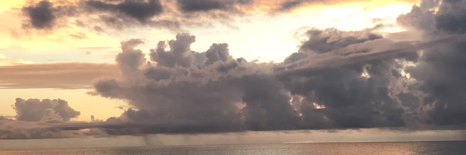 boeckerscience's profile banner image