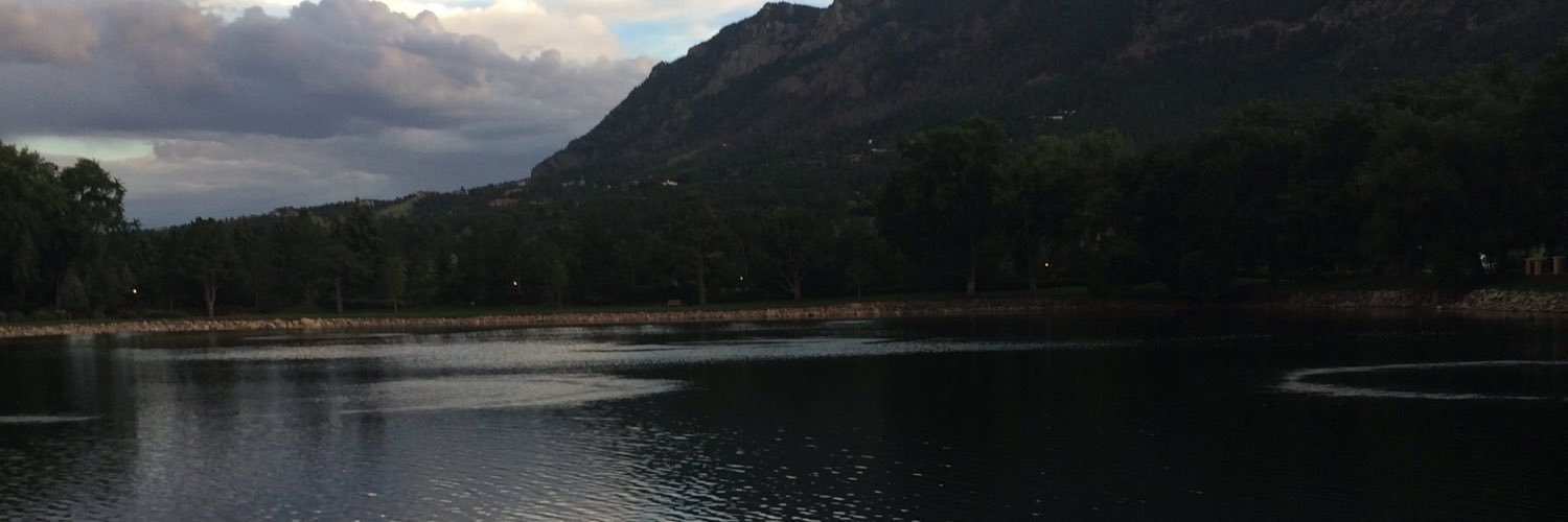 shainorton's profile banner image
