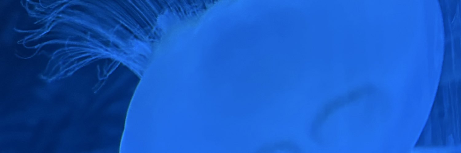 ぶり大根@新規❌ banner